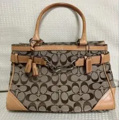 COACH ハンドバッグ シグネチャー レオパード柄 ヒョウ柄 y2k - メルカリ
