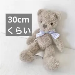 くま ぬいぐるみ