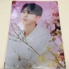 **）様 SEVENTEEN Always yours プレミアムフォト ホシ