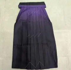 Item thumbnail for item 220db61c-d6c2-4294-94fc-025d9eb45228