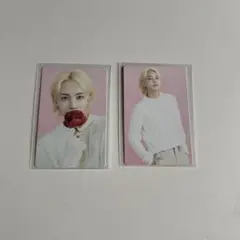 SEVENTEEN ジョンハン ハニ カフェ ソウル トレカ