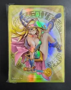 2025年最新】魔術師の弟子 ブラックマジシャンガールの人気アイテム