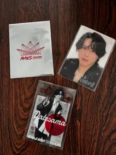 미개봉 品 Snow Man 宮舘涼太 ON RAYS 国立 個人グッズセット②