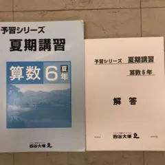 2026年最新】6年 夏期講習 四谷大塚の人気アイテム - メルカリ