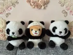 ぱんだの赤ちゃん　豆しば三兄弟　マスコットセット　パンダ　動物園　未使用♡！