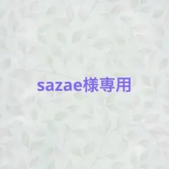 sazae様専用　2点
