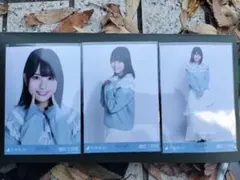 増田三莉音 襟付きコーデ 生写真 コンプ