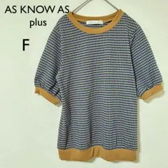 【アズノウアズ】サマーニット　半袖　F リブ　レトロ　上品　総柄