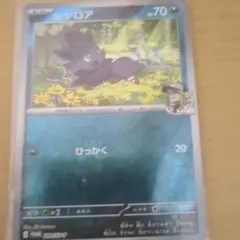 ポケモンカード ゾロア プロモ