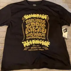 Item thumbnail for item 4b17bcb0-b16e-499b-947d-19bc9cd2b303