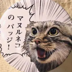 Item thumbnail for item 9a249d02-59da-4212-9150-bd251eb57959