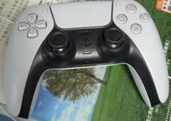PS5 DualSense ワイヤレスコントローラー