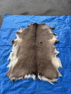 こ*う様 天然毛皮 ラグ 敷物 リアルファーのサムネイル