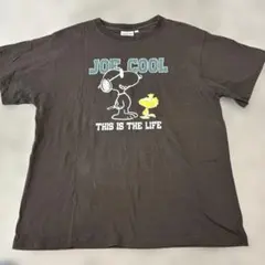 PEANUTS JOE COOL Tシャツ スヌーピーLL ダークブラウン