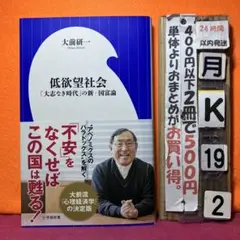 低欲望社会 「大志なき時代」の新・国富論