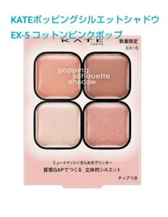 【限定色】KATE ケイト ポッピングシルエットシャドウ EX-5