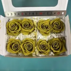 スプレーローズのシトロンイエロー