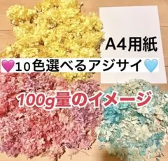 アジサイ大容量100g！色自由 プリザーブドフラワー花材　まとめ売り