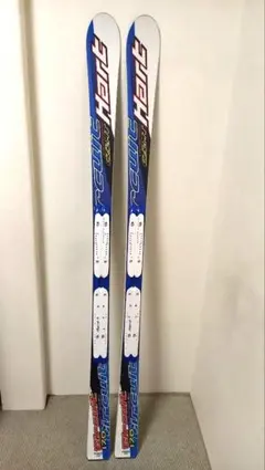 2026年最新】ROSSIGNOL circuitの人気アイテム - メルカリ