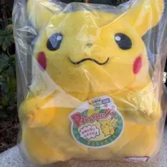 ポケットモンスター ポケモン30周年記念 おかえり！ピカチュウ1/1