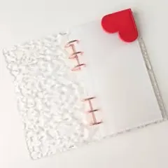 Item thumbnail for item 05c90dfc-dbd2-4925-a4a7-9e52956fe69d