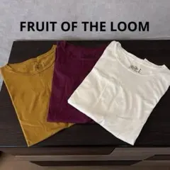 FRUIT OF THE LOOM 3色セット Tシャツ Mサイズ