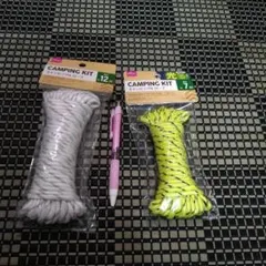 Item thumbnail for item 0d2f5f0d-66ff-4e4c-bec9-610e1df3bf79