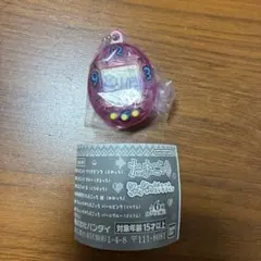 たまごっち　ガチャ　シャカシャカチャームコレクション　クリアピンク（まめっち）