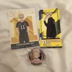 月島蛍　ハイキュー!! アクリルバッジコレクション 2016　合同練習会 2025年最新】ハイキュー アクリルバッジ 2016の人気アイテム