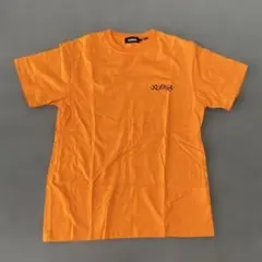 Item thumbnail for item af1efb45-3826-47b3-96e1-4d4183972c4b