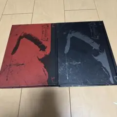 アリーヌとヴァルクールあるいは哲学的物語 (上)(下)巻 - メルカリ