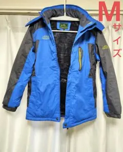 Item thumbnail for item 384eec99-1aaf-4818-bd55-8ac29edf19b8