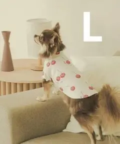 gelato pique 「CAT＆DOG」チェリー柄プルオーバー（L)