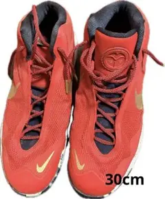 ナイキ Anthony Davis Basketball shoes NIKE