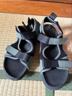 Item thumbnail for item d60726cd-e435-463b-8463-f9316d740743