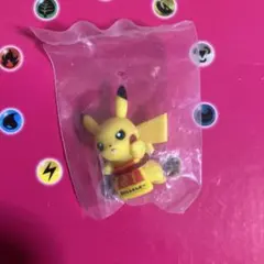 ポケモン フィギュア ピカチュウ ポケパークカントー 202606202218