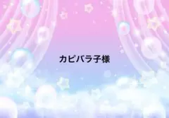 カピバラ子様専用ページ