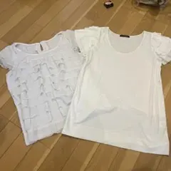 フリル袖 ホワイト Tシャツ二枚セット売り