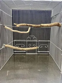 Item thumbnail for item d708cbd9-a234-4741-8354-880811db6ad6