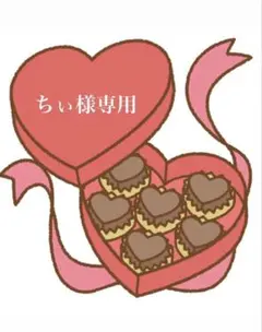 ちぃ様専用
