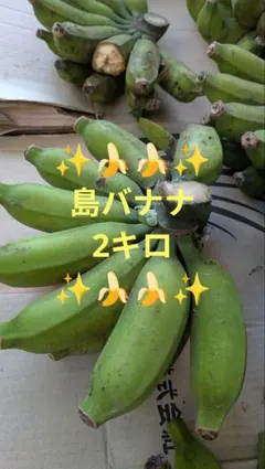 沖縄県産 黄輝バナナ 2kg 農薬不使用・無肥料 家庭菜園　No.4のサムネイル