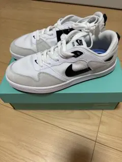 NIKE SB ALLEYOOP スニーカー ホワイト/ブラック　24センチ