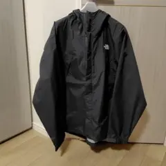 THE NORTH FACE NP12550 DOT SHOT JACKET