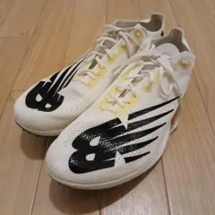 Item thumbnail for item b6f40cdf-b2fa-4f4d-9415-2723a5004541