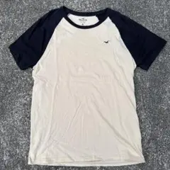 HOLLISTER Tシャツ M クリーム/ブラック