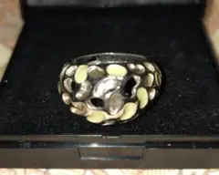 Item thumbnail for item a65c01a9-80c6-403b-8c15-8167137b9085