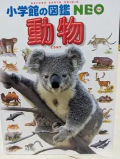 小学館の図鑑 NEO 動物