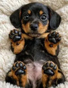 専用ページです