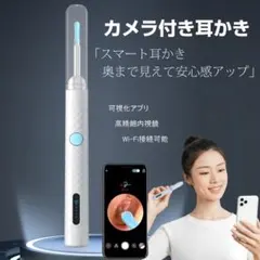 耳かき カメラ付き 耳掃除 耳垢除去 極細 シリコンヘッド 300万画素 内視