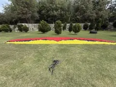 Item thumbnail for item b246748b-5ae6-4618-87c4-4f91122f9a97